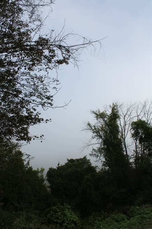 IMG_2528.JPG