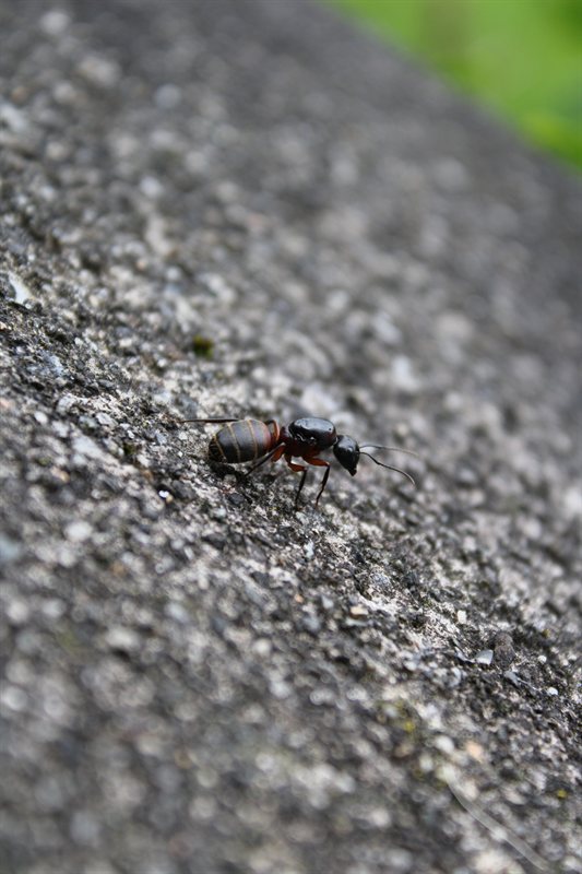 IMG_2554.JPG