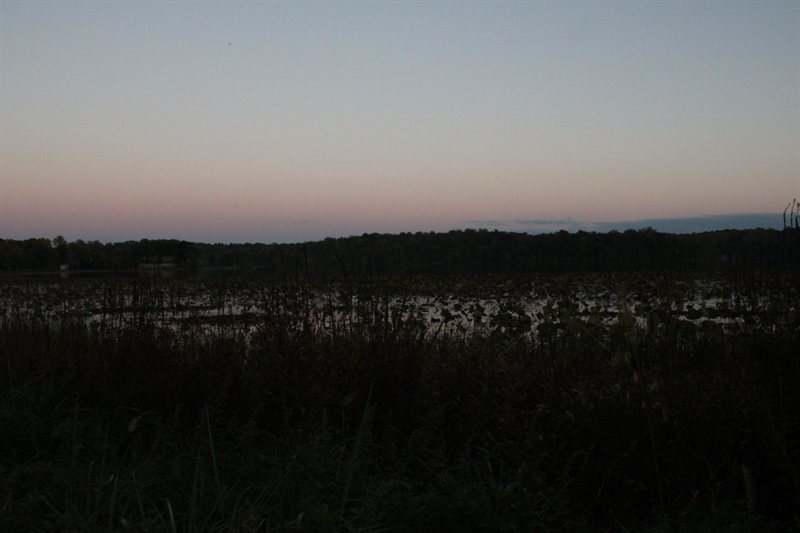 IMG_2662.JPG