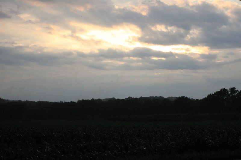 IMG_5428.JPG