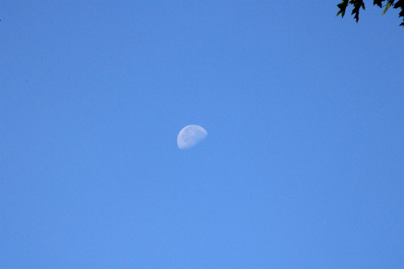 IMG_5440.JPG