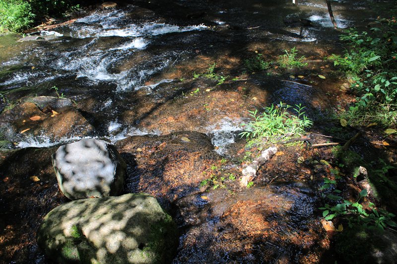 IMG_5640.JPG