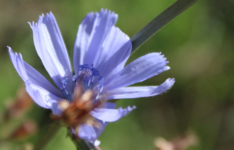 IMG_8346_CROPPED.JPG